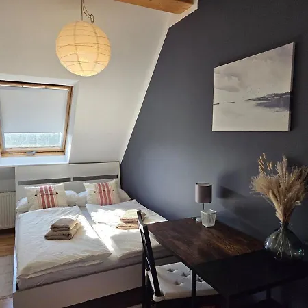 公寓 Penthouse In The Neustadt 德累斯顿