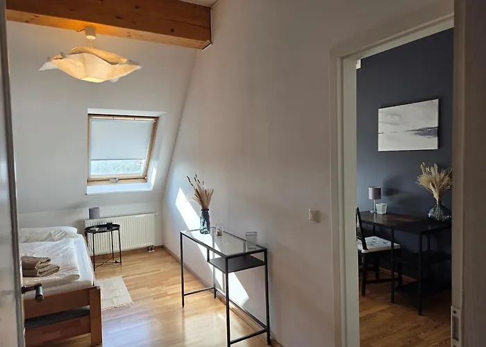 Penthouse In The Neustadt Apartman Drezda