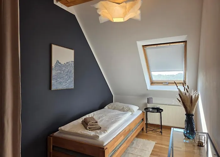 Penthouse In The Neustadt Apartman Drezda