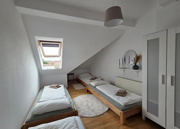 Διαμέρισμα Penthouse In The Neustadt Δρέσδη